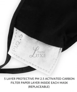 Luxe Festival Luxury Black Rhinestone Face Covering With PM 2.5 Mask Filter Festival Collection