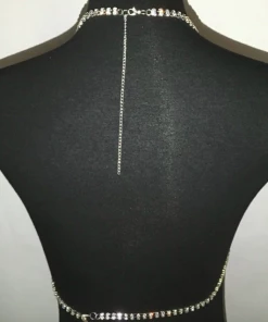 Luxe Festival Wear Diamante Tassel Bra