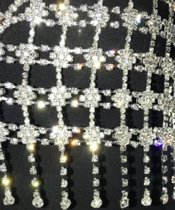 Luxe Festival Wear Diamante Tassel Bra