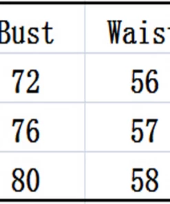 Luxe Festival Wear Festival Collection Luxe Sheer Black Leopard Bodysuit